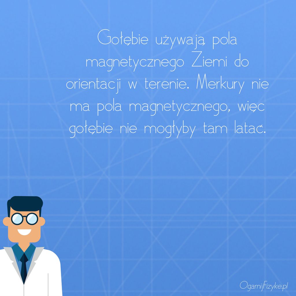 gołębie nie mogą latać na merkurym